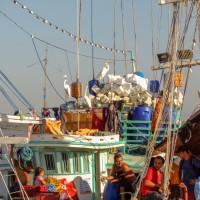 Bateau au brésil