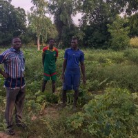 Des hommes présentent leur potager